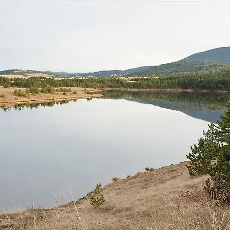 Goldpine Apartament *