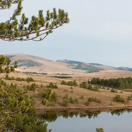 Apartment Goldpine Zlatibor